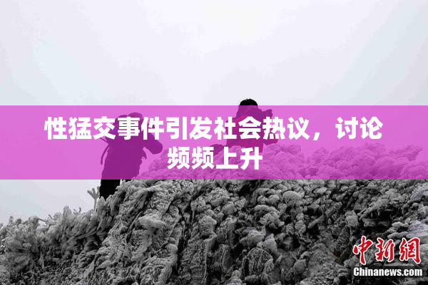 性猛交事件引发社会热议，讨论频频上升