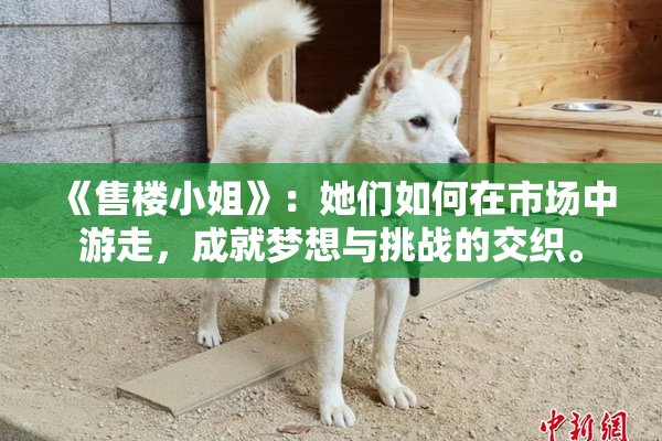 《售楼小姐》：她们如何在市场中游走，成就梦想与挑战的交织。