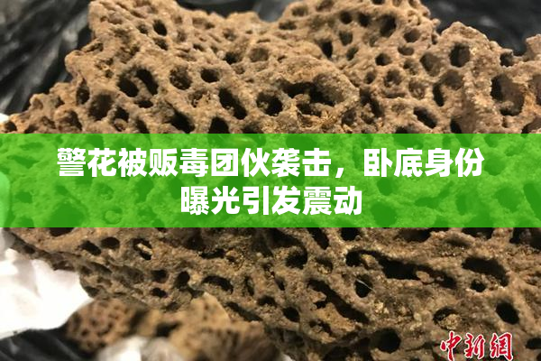 警花被贩毒团伙袭击，卧底身份曝光引发震动
