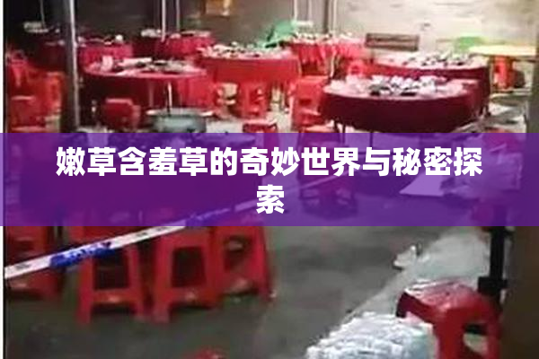 嫩草含羞草的奇妙世界与秘密探索