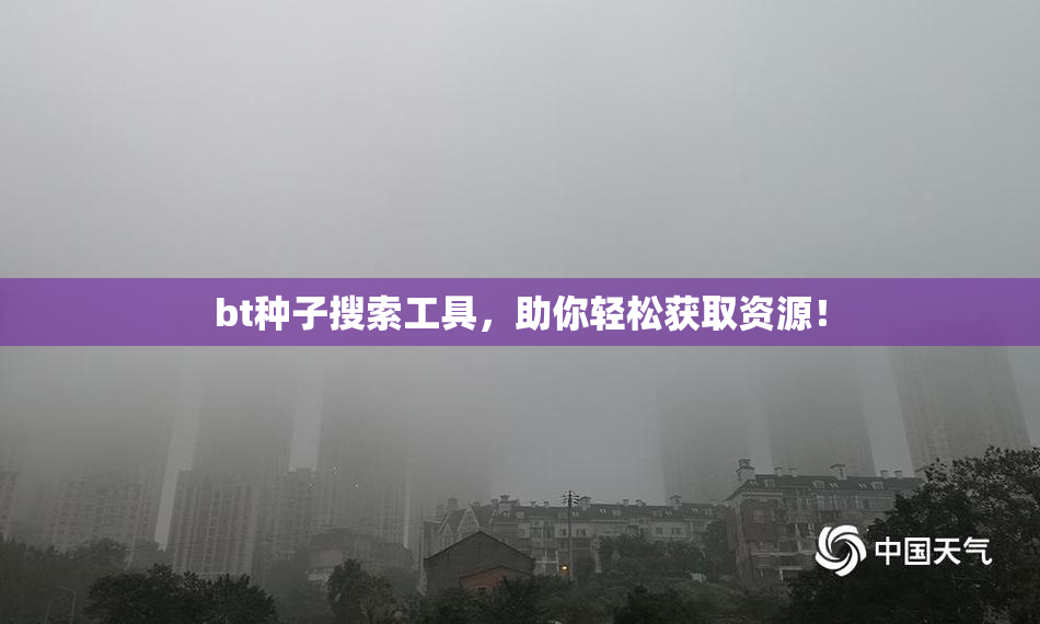 bt种子搜索工具，助你轻松获取资源！