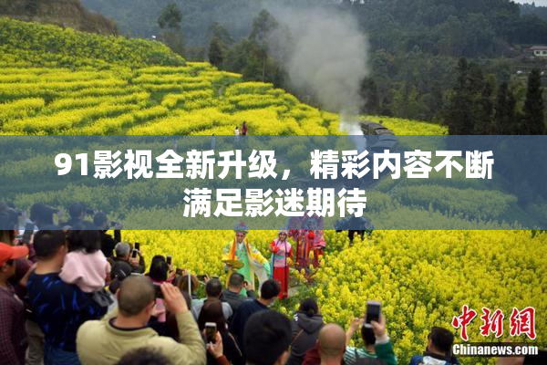 91影视全新升级，精彩内容不断满足影迷期待
