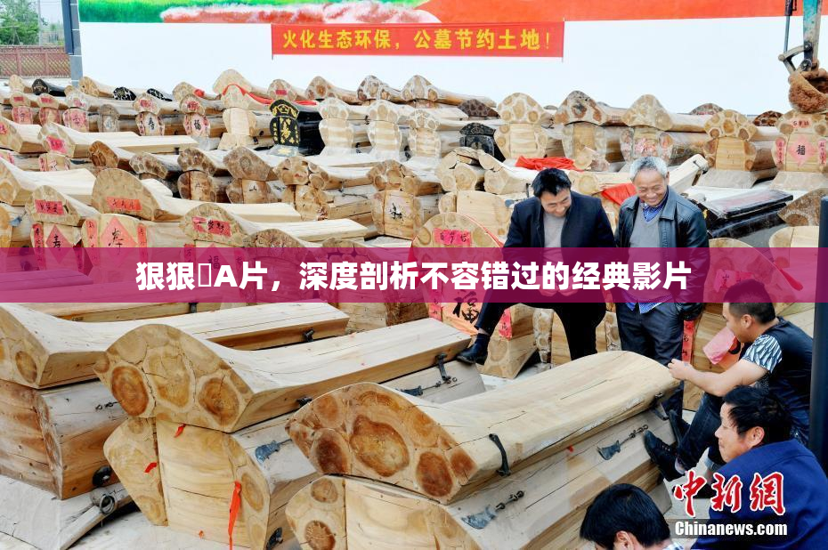 狠狠穞A片，深度剖析不容错过的经典影片