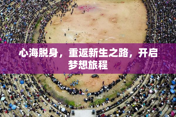 心海脱身，重返新生之路，开启梦想旅程
