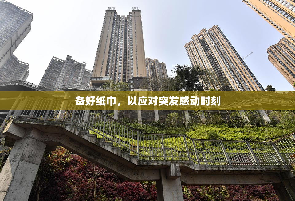 备好纸巾，以应对突发感动时刻