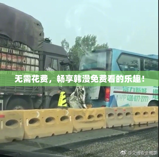 无需花费，畅享韩漫免费看的乐趣！