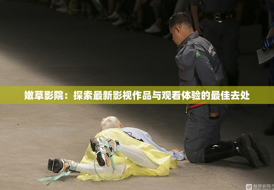 嫩草影院：探索最新影视作品与观看体验的最佳去处