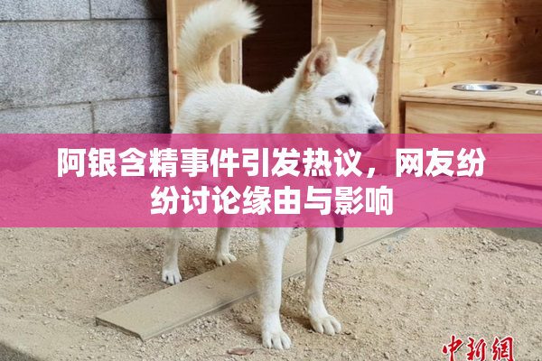 阿银含精事件引发热议，网友纷纷讨论缘由与影响