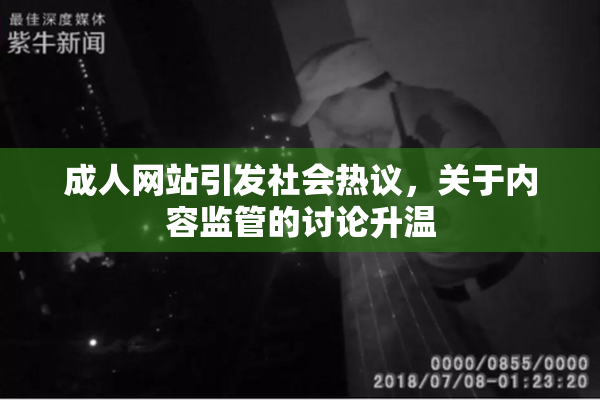 成人网站引发社会热议，关于内容监管的讨论升温