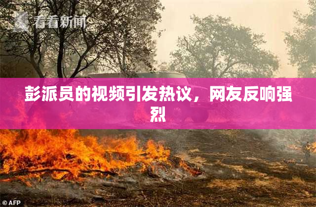 彭派员的视频引发热议，网友反响强烈
