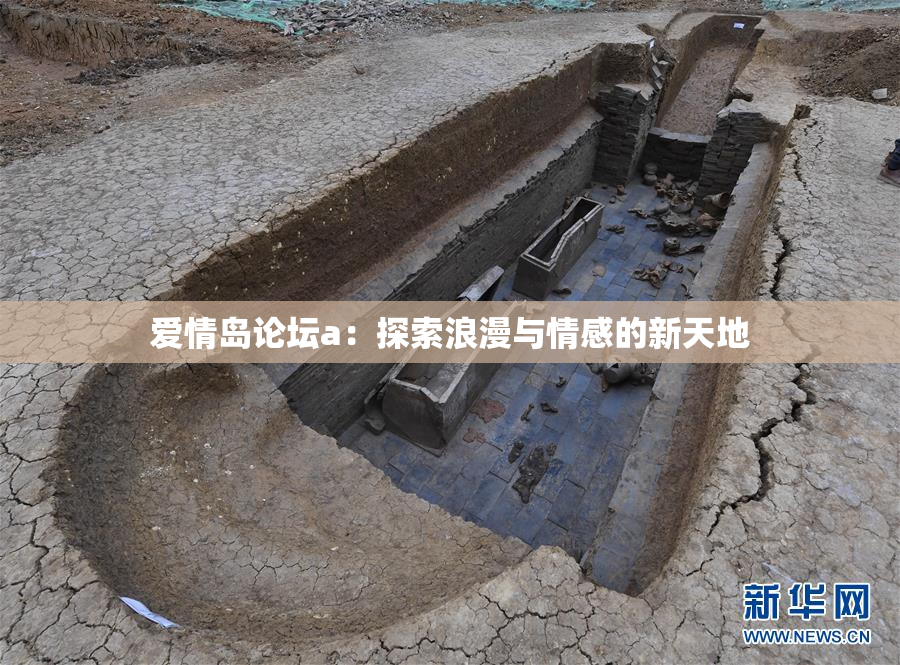 爱情岛论坛a：探索浪漫与情感的新天地