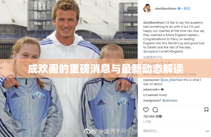 成欢阁的重磅消息与最新动态解读