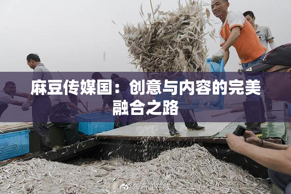麻豆传媒国：创意与内容的完美融合之路