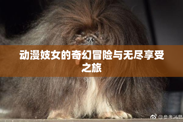 动漫妓女的奇幻冒险与无尽享受之旅