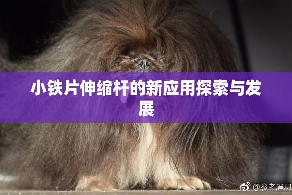 小铁片伸缩杆的新应用探索与发展