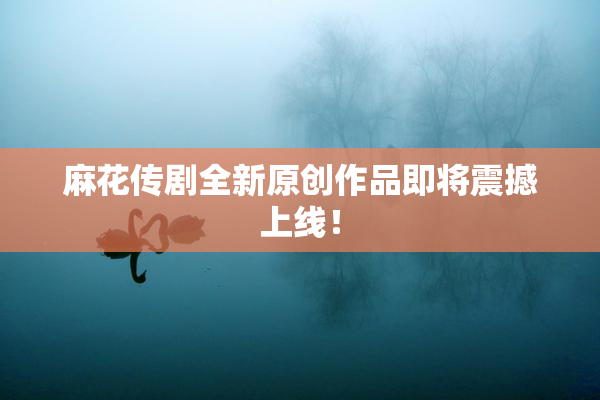 麻花传剧全新原创作品即将震撼上线！