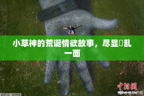 小草神的荒诞情欲故事，尽显婬乱一面