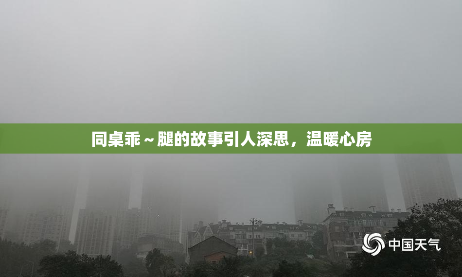 同桌乖～腿的故事引人深思，温暖心房