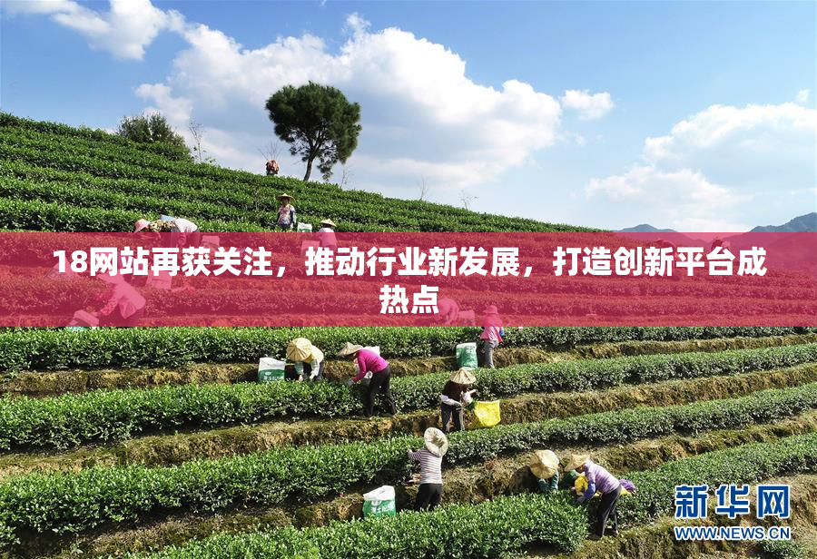 18网站再获关注，推动行业新发展，打造创新平台成热点