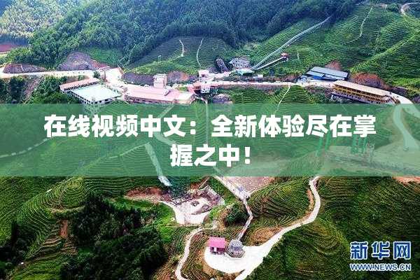 在线视频中文：全新体验尽在掌握之中！
