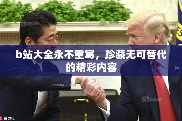 b站大全永不重写，珍藏无可替代的精彩内容