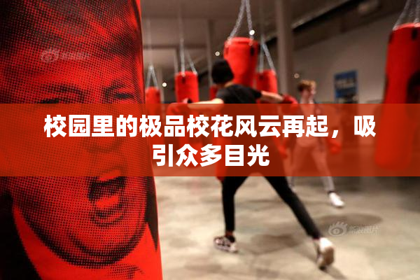 校园里的极品校花风云再起，吸引众多目光