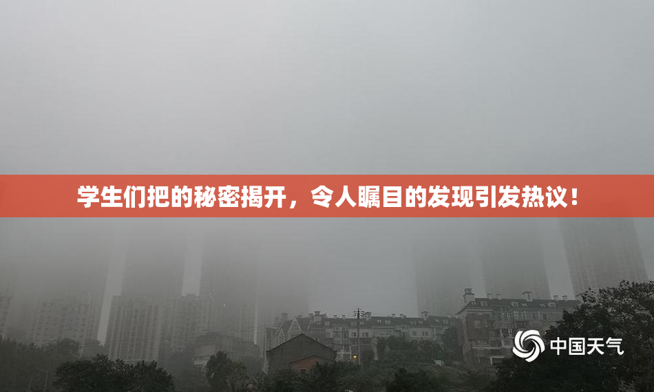 学生们把的秘密揭开，令人瞩目的发现引发热议！
