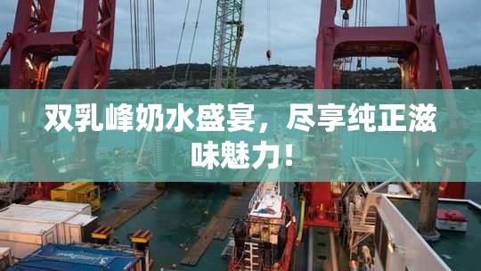 双乳峰奶水盛宴，尽享纯正滋味魅力！