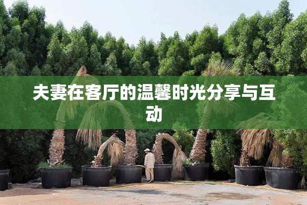 夫妻在客厅的温馨时光分享与互动