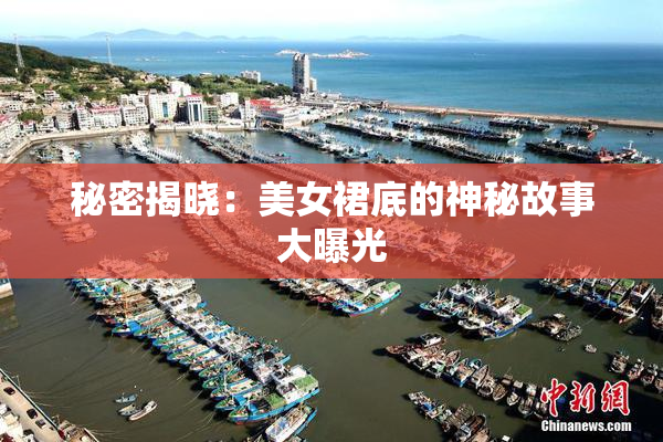 秘密揭晓：美女裙底的神秘故事大曝光
