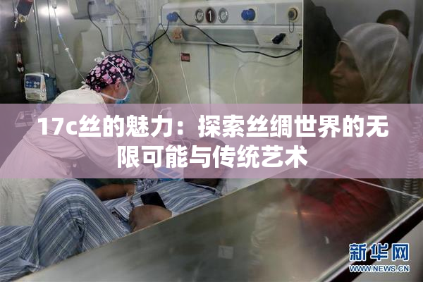 17c丝的魅力：探索丝绸世界的无限可能与传统艺术