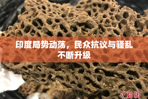 印度局势动荡，民众抗议与骚乱不断升级