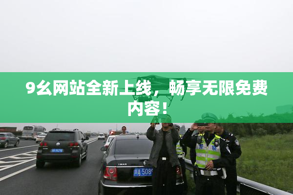 9幺网站全新上线，畅享无限免费内容！