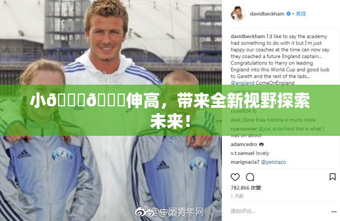 小🐔🐔伸高，带来全新视野探索未来！
