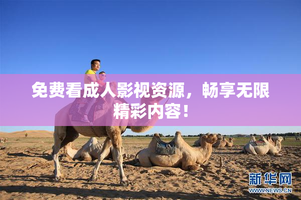 免费看成人影视资源，畅享无限精彩内容！