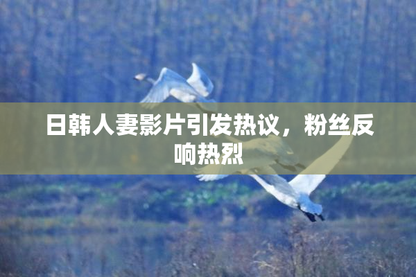 日韩人妻影片引发热议，粉丝反响热烈