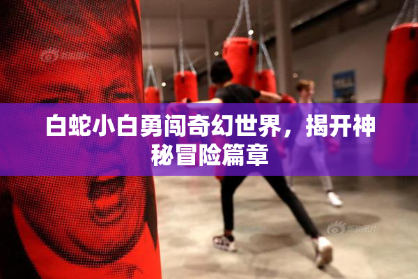 白蛇小白勇闯奇幻世界，揭开神秘冒险篇章