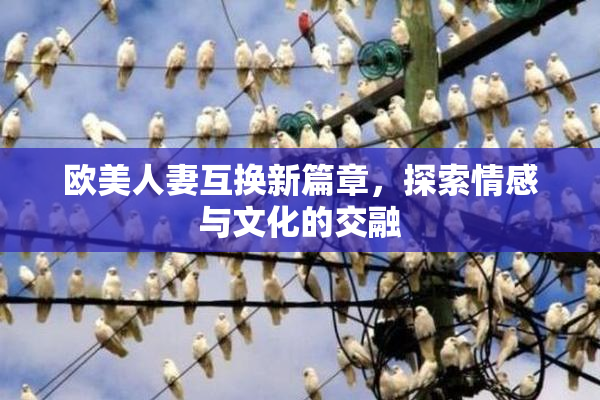 欧美人妻互换新篇章，探索情感与文化的交融