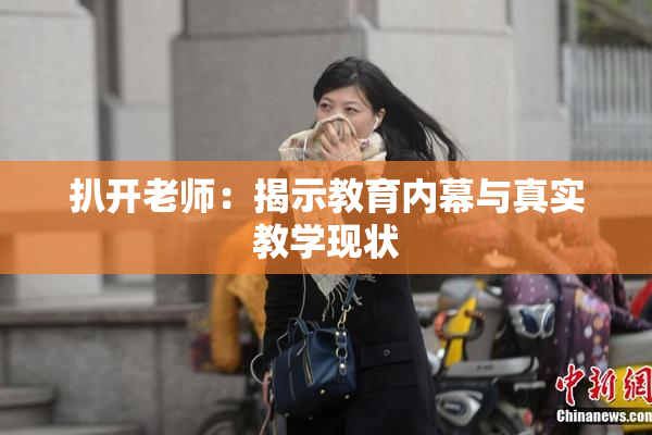 扒开老师：揭示教育内幕与真实教学现状