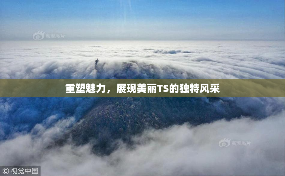 重塑魅力，展现美丽TS的独特风采