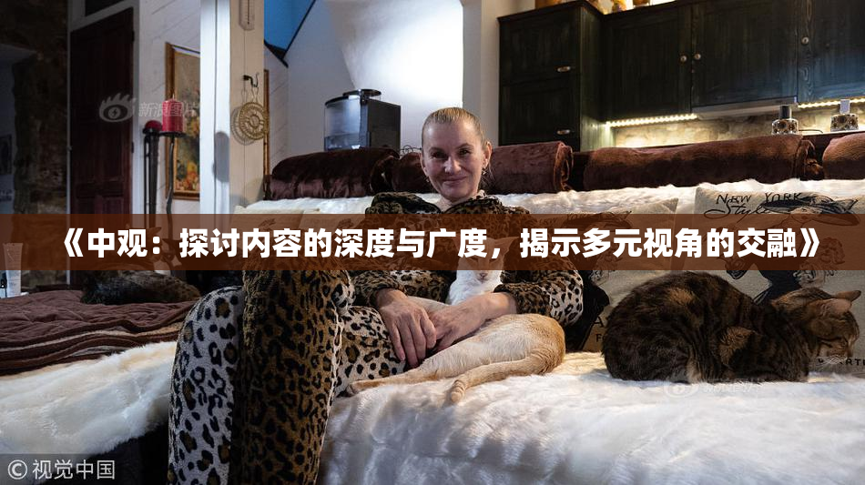《中观：探讨内容的深度与广度，揭示多元视角的交融》