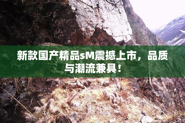 新款国产精品sM震撼上市，品质与潮流兼具！