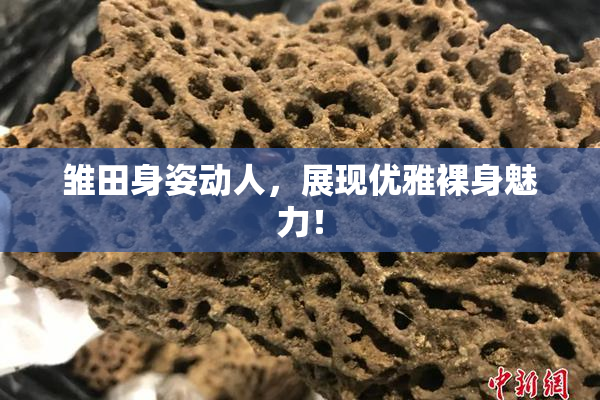 雏田身姿动人，展现优雅裸身魅力！