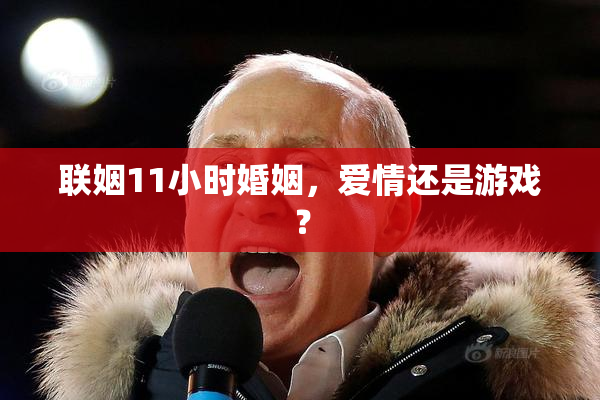 联姻11小时婚姻，爱情还是游戏？