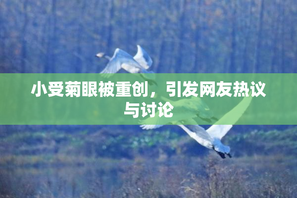 小受菊眼被重创，引发网友热议与讨论