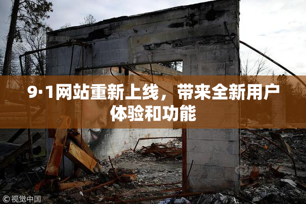 9·1网站重新上线，带来全新用户体验和功能