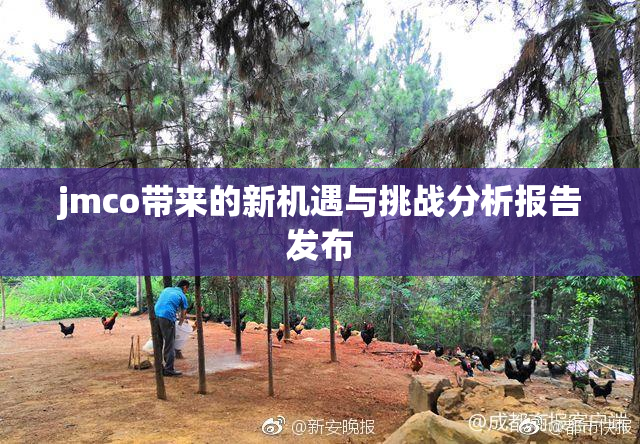 jmco带来的新机遇与挑战分析报告发布