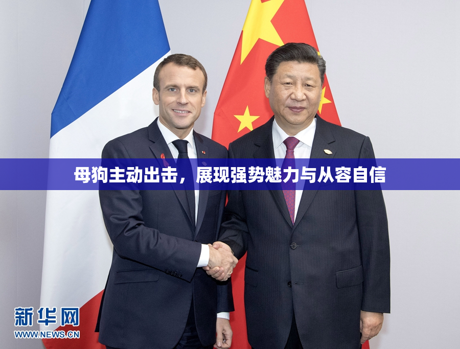 母狗主动出击，展现强势魅力与从容自信