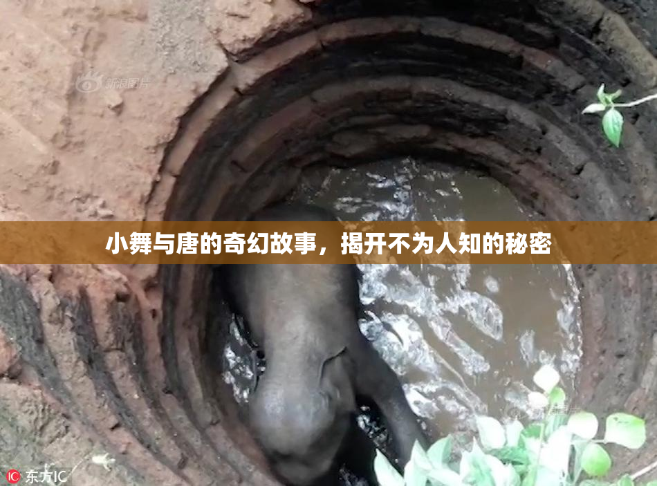 小舞与唐的奇幻故事，揭开不为人知的秘密