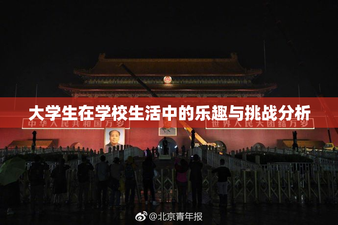 大学生在学校生活中的乐趣与挑战分析